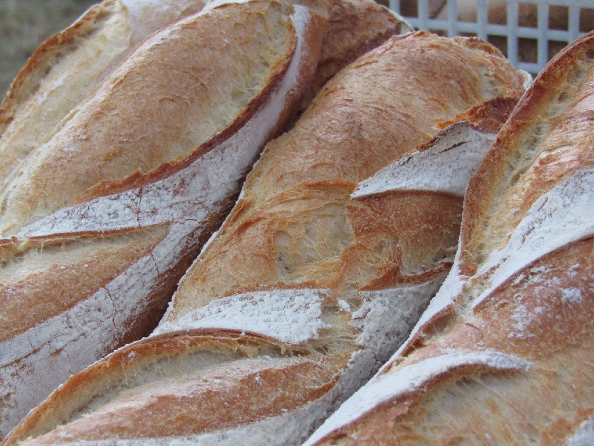 Marché des Producteurs de Pays