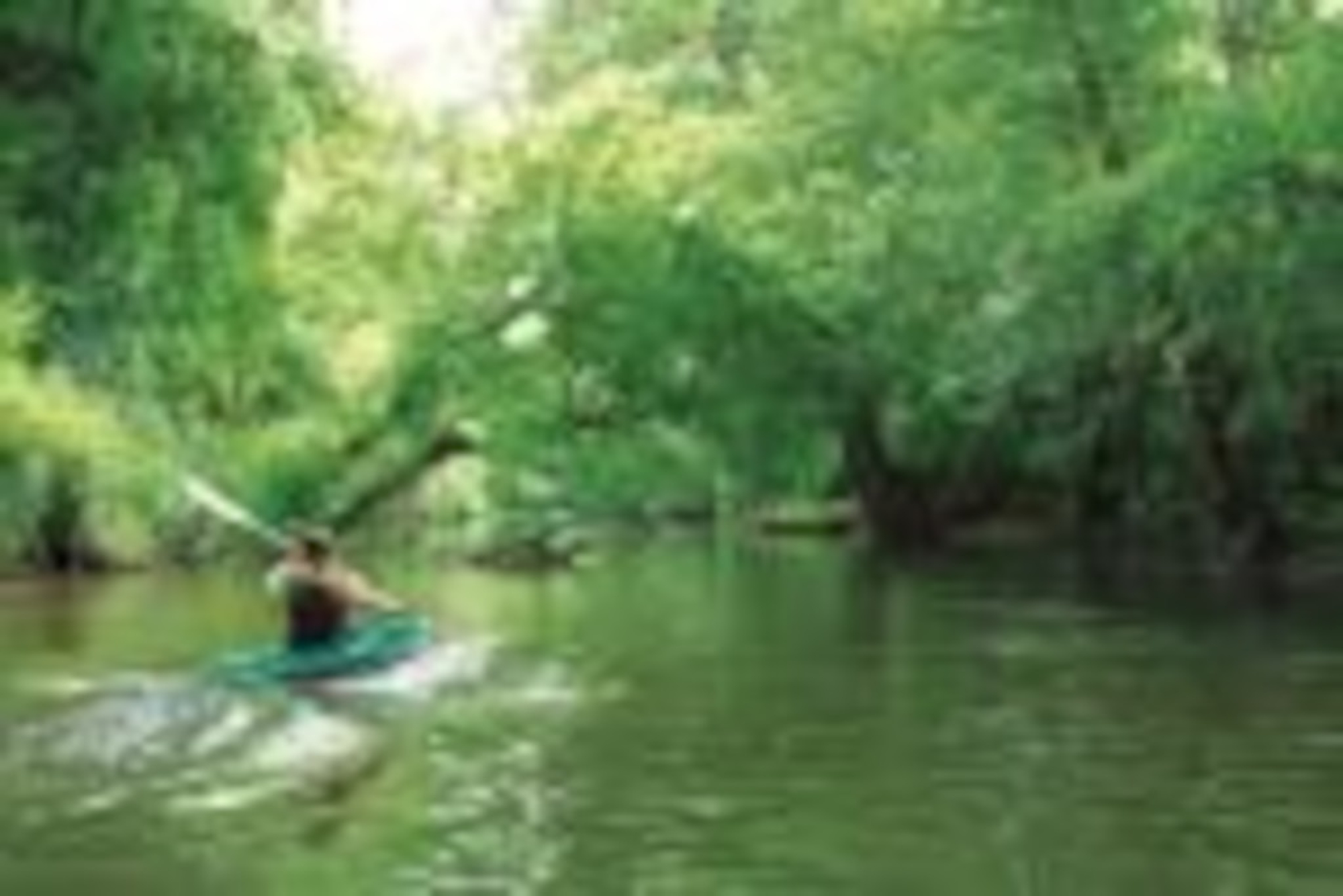 Canoë sur la Midouze