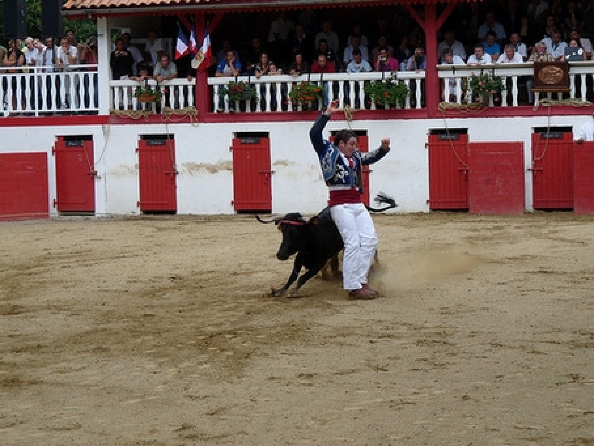 Les arènes
