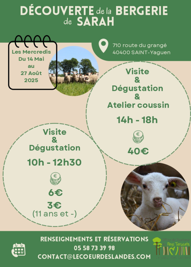 Découverte de la bergerie de Sarah : Atelier cousin 
