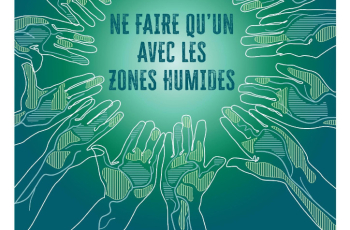 Journée mondiale des Zones Humides