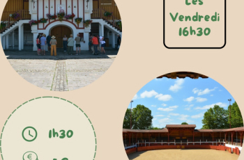 Visite des arènes de Rion des Landes