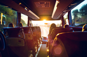 Le bus des curiosité