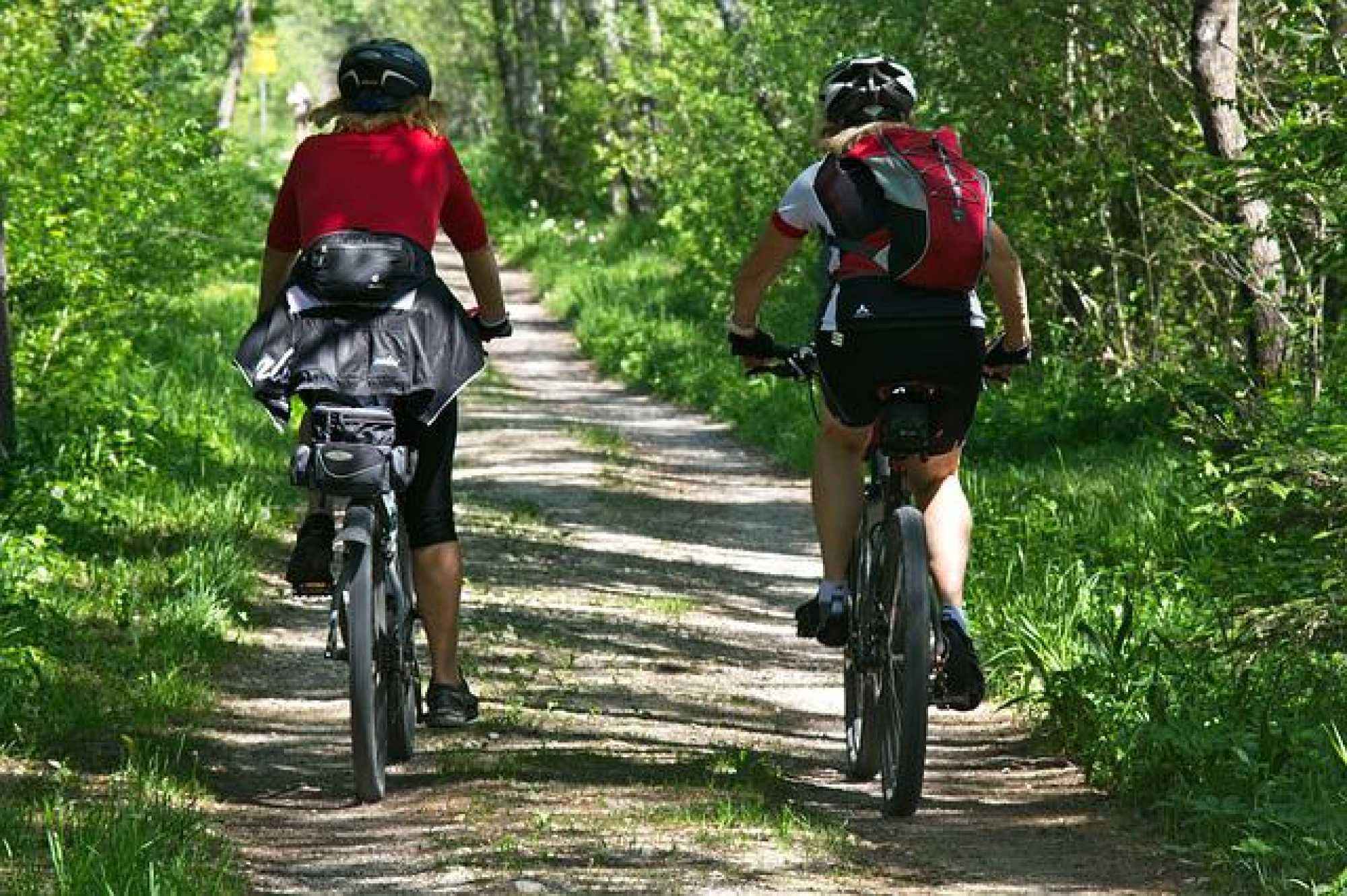 Location de vélos