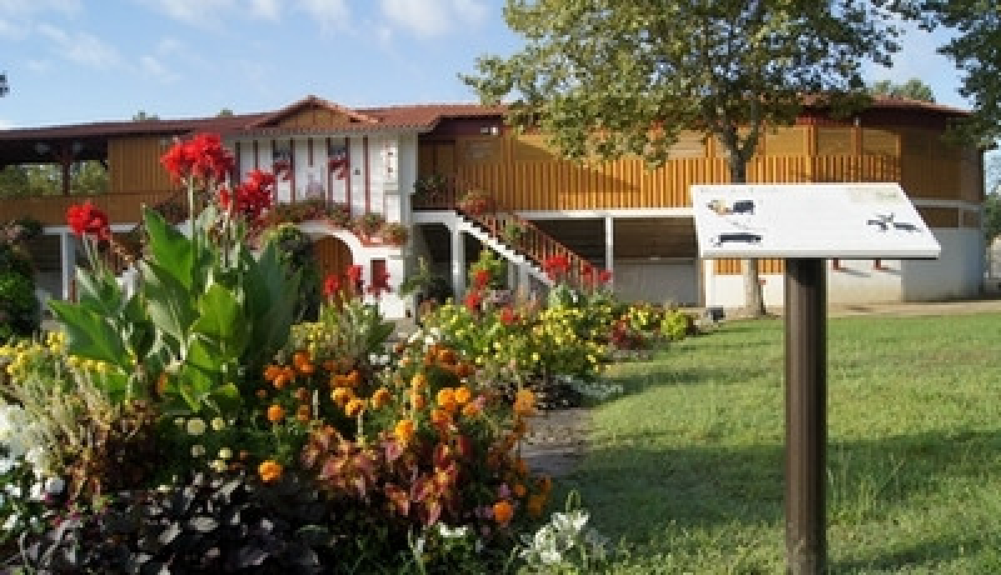 Les arènes